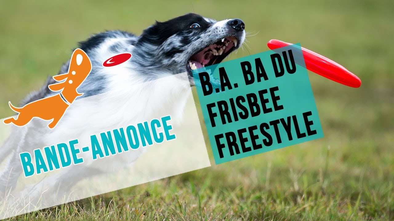 Le B.A. BA du Frisbee - Bande-annonce