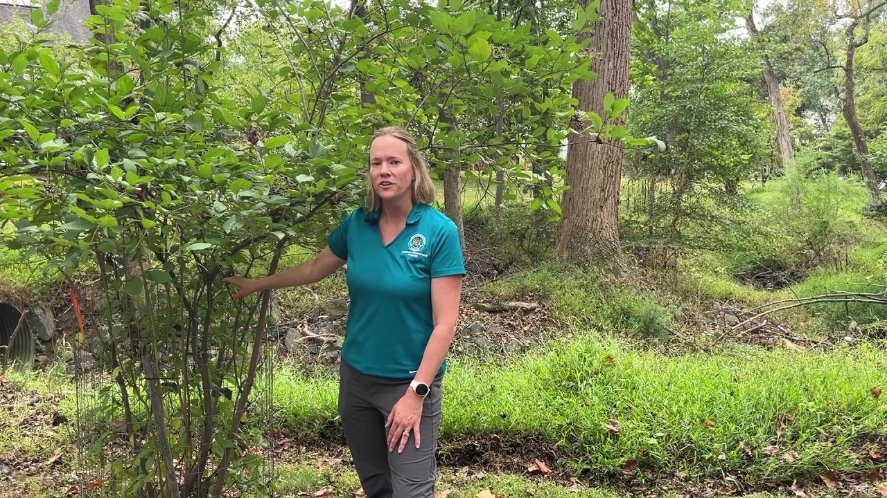 Restoring Streams Part 4: Inspection & Maintenance