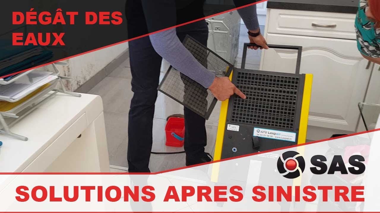 Murs humides après un dégât des eaux ? La solution