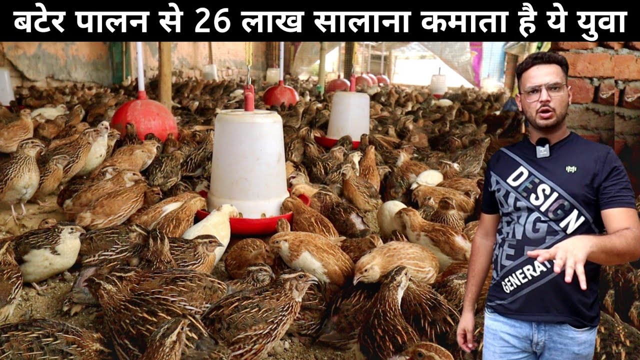 21 साल का युवा बटेर पालन से कमाता है मोटा मुनाफा | Quail Farming In India | Quail Farm Tour