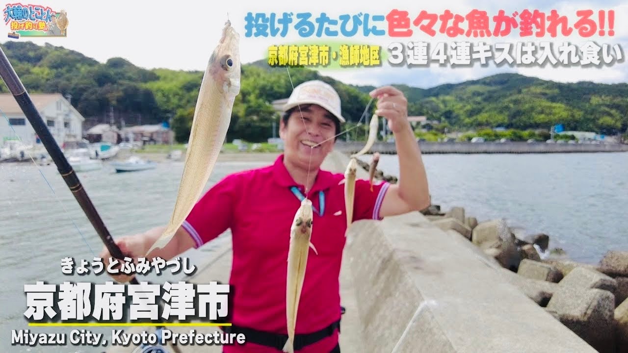 どこ投にげてもキス‼︎キス‼︎キス‼︎  昼から３時間勝負・キス釣り入れ食い大満喫の旅へ‼︎  京都府宮津市/杉ノ末防波堤　R7.9.22【大輔のとことん投げ釣り塾】