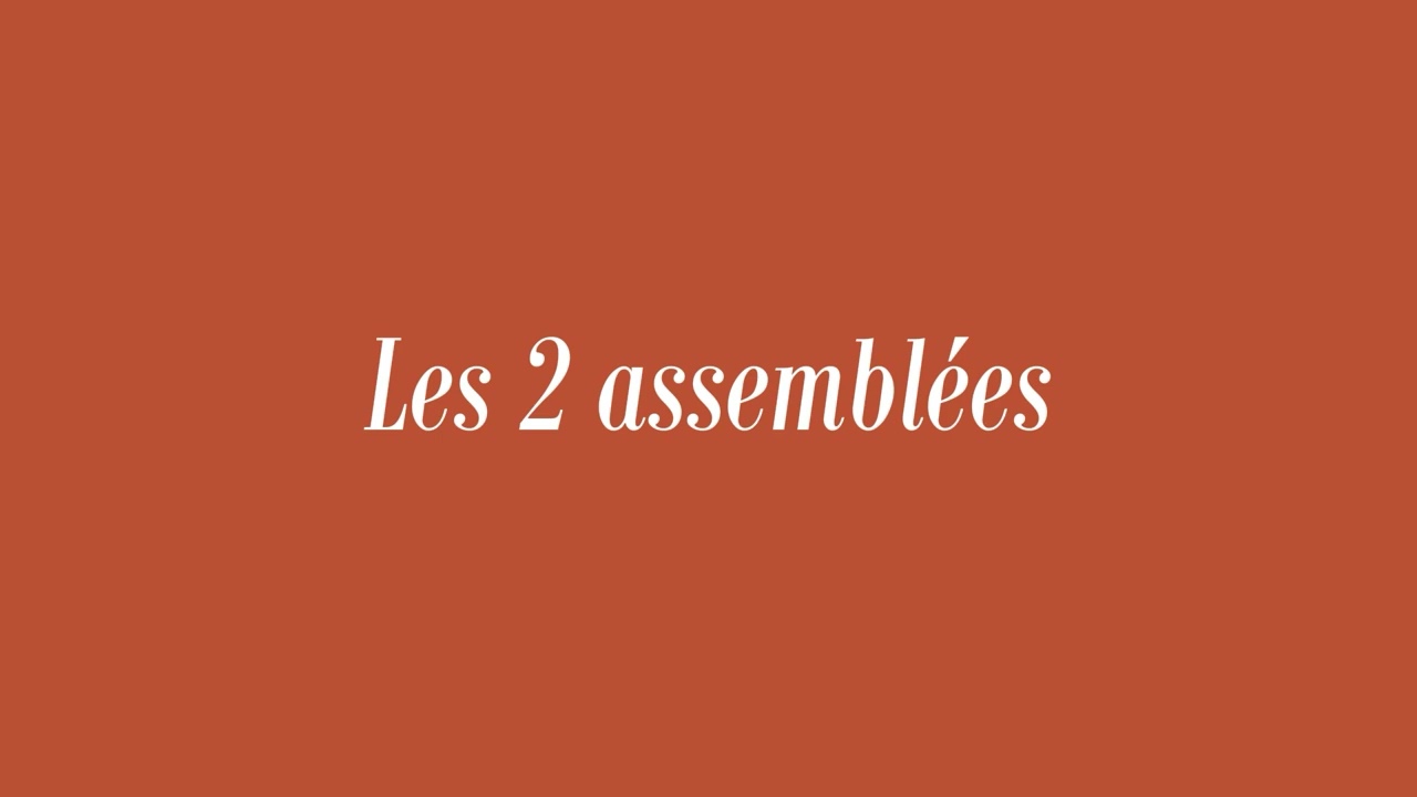 LES 2 TYPES D'ASSEMBLEES