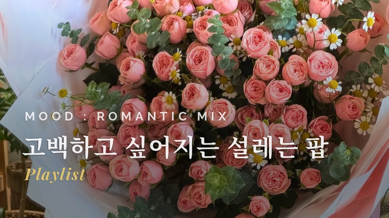 Playlist | 너의 진심이 예쁘게 닿기를 응원하는 로맨틱한 팝 🌹(이 노래 듣고 고백하면 성공확률 UP!!)