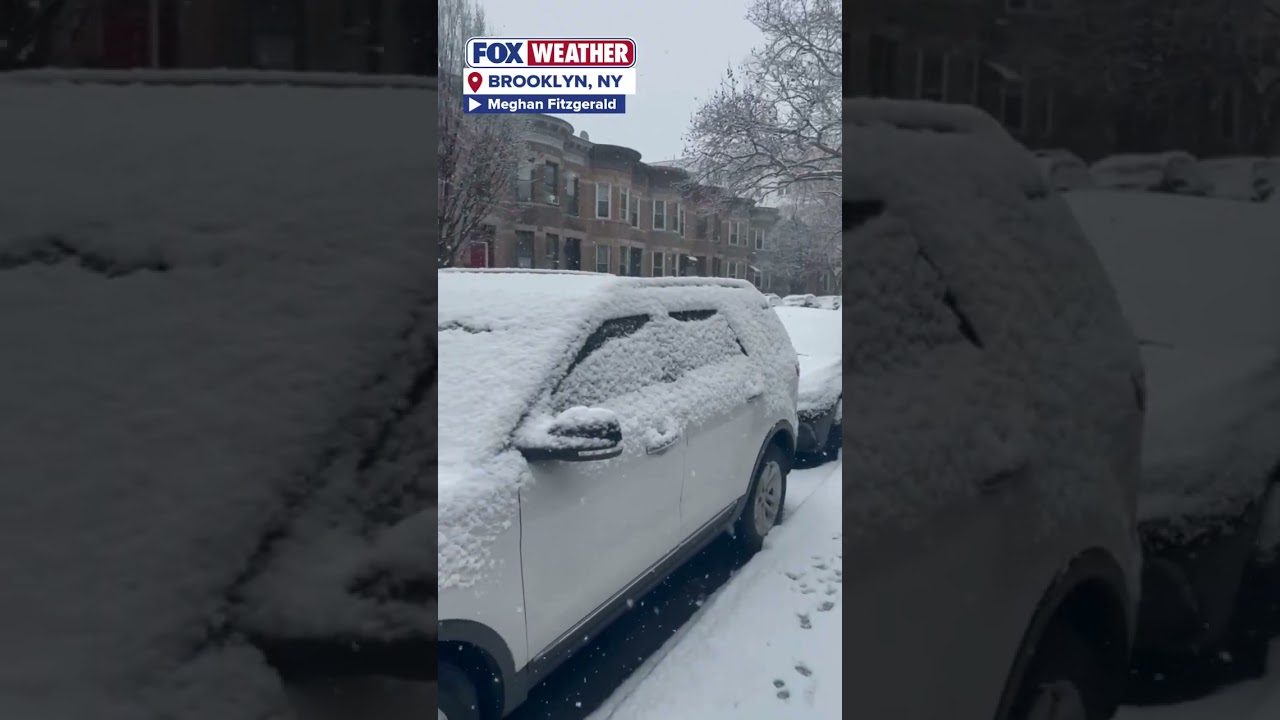 Snow Accumulating In New York City
