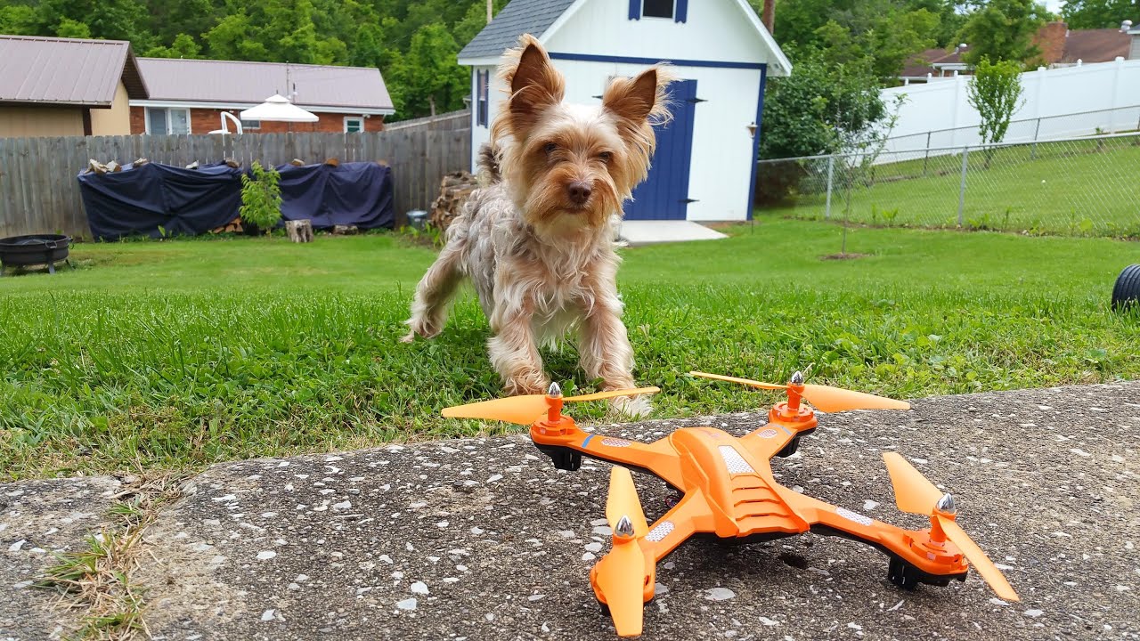 Safety Drone?!?  Check out the Tracker Drone Bojiang S5C-2 Review - TheRcSaylors