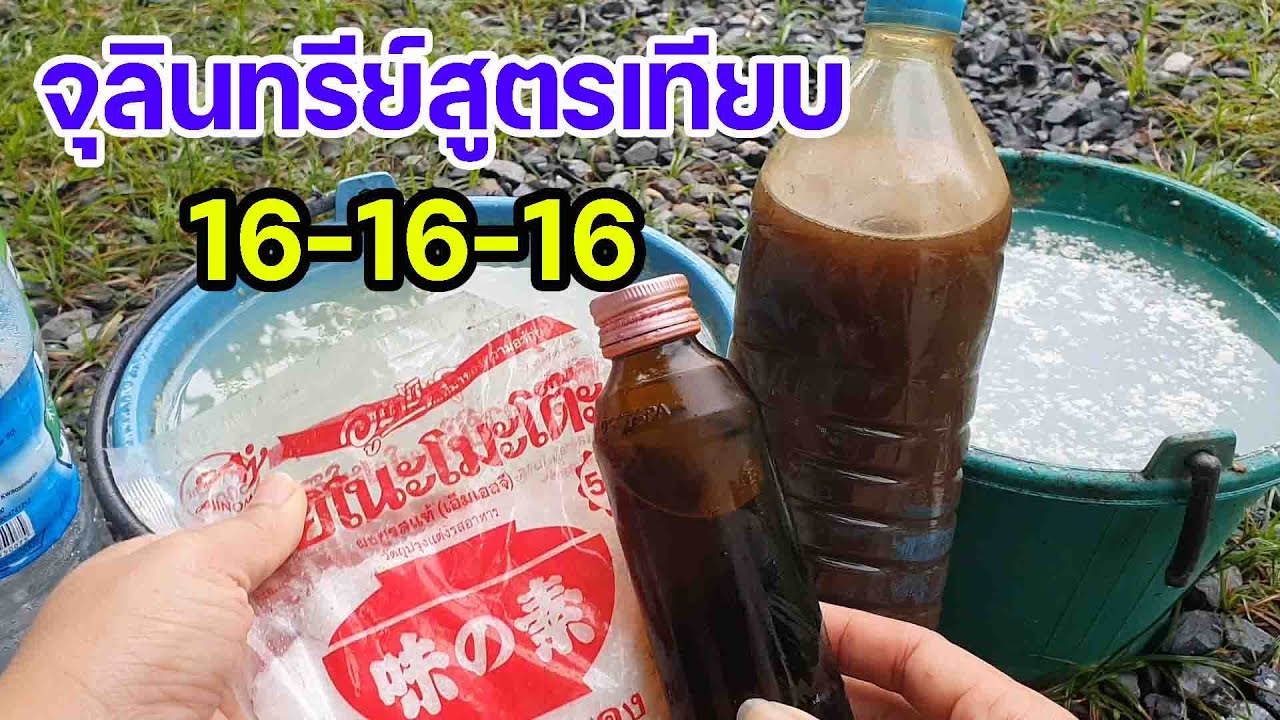 Секретный рецепт... Как создать микроорганизмы, эквивалентные формуле 16-16-16. Ферментация всего...