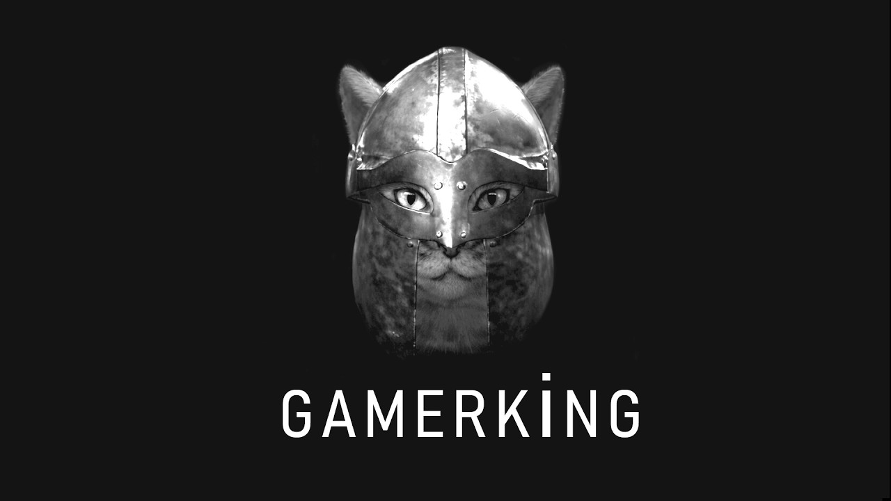 GamerKing