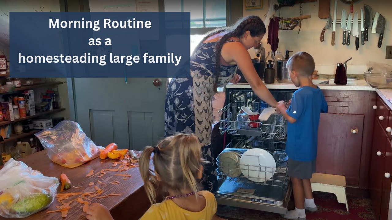Morning routine and an August day as a large homeschooling, homesteading family
