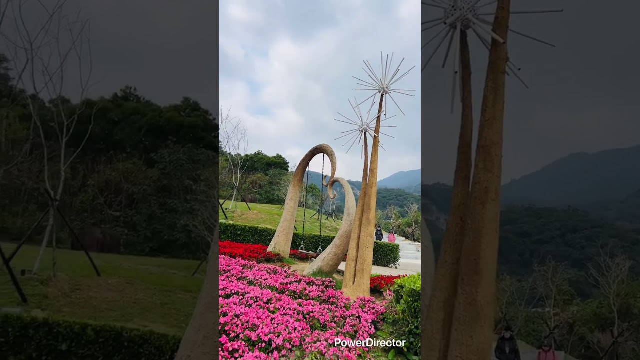 北投三層崎公園 2026/02/08