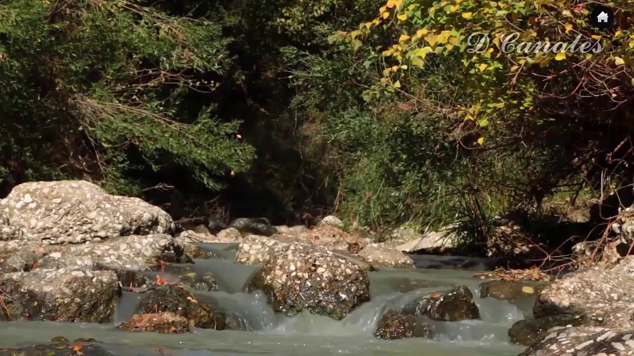 river, stream with audio water relaxing video - 11 hour of video to sleep