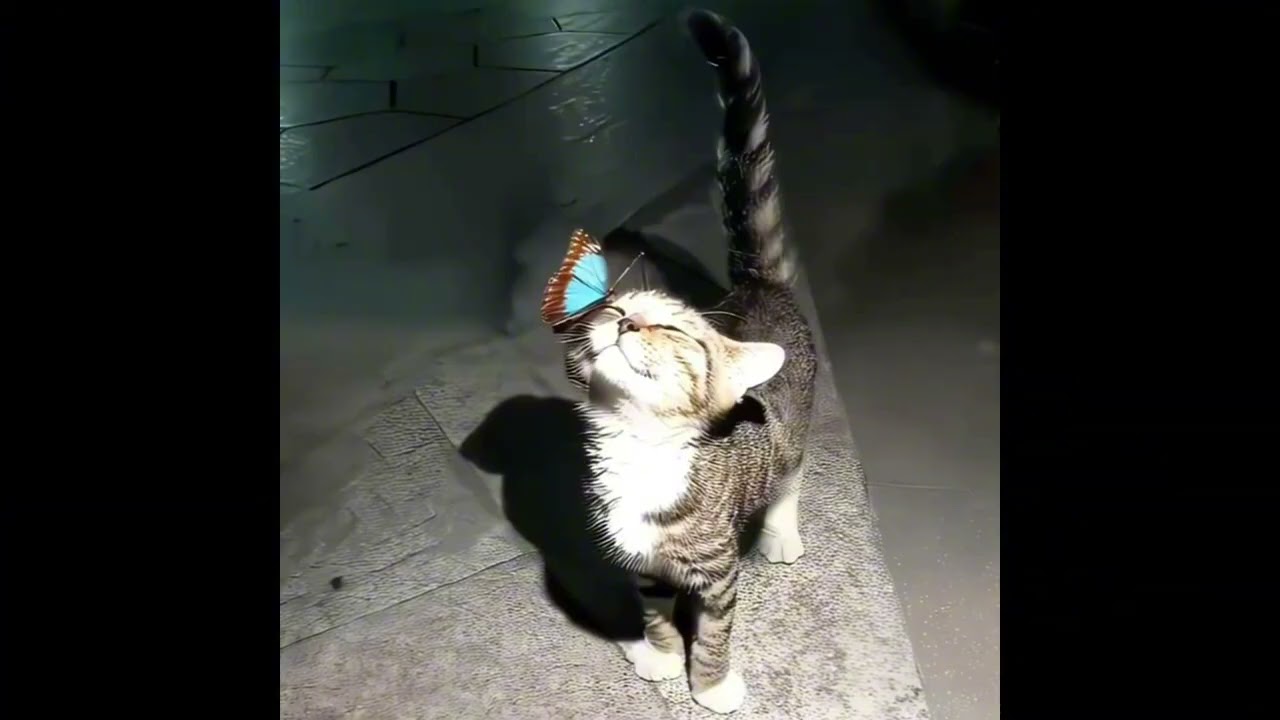 Kryd x Quannic - SNARKY (Hoodtrap / Mylancore Remix)