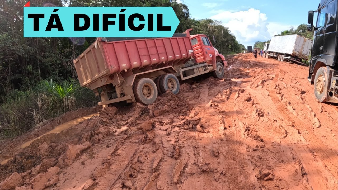 BR319 Desobstruindo a estrada