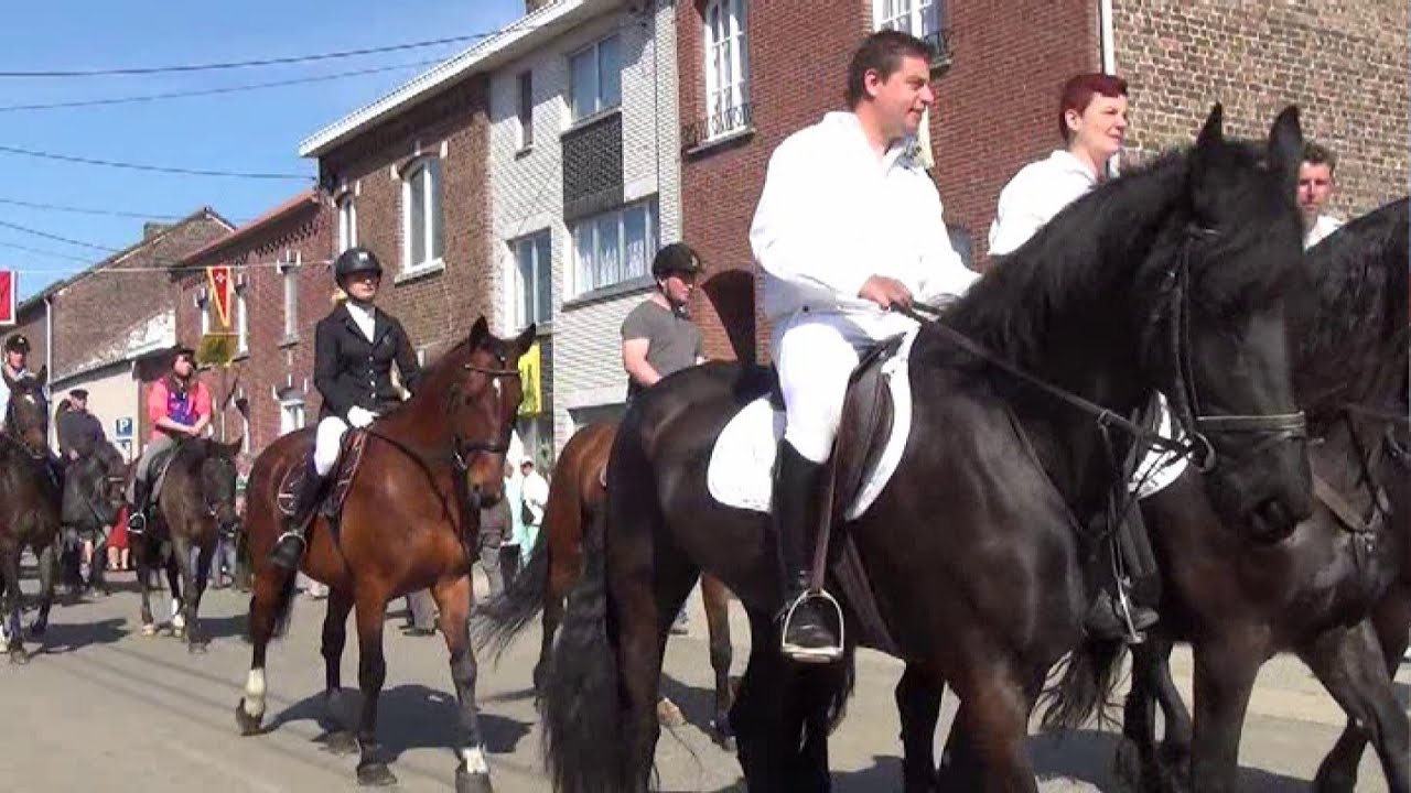 PAARDEN + STOET 2014 Hakendover