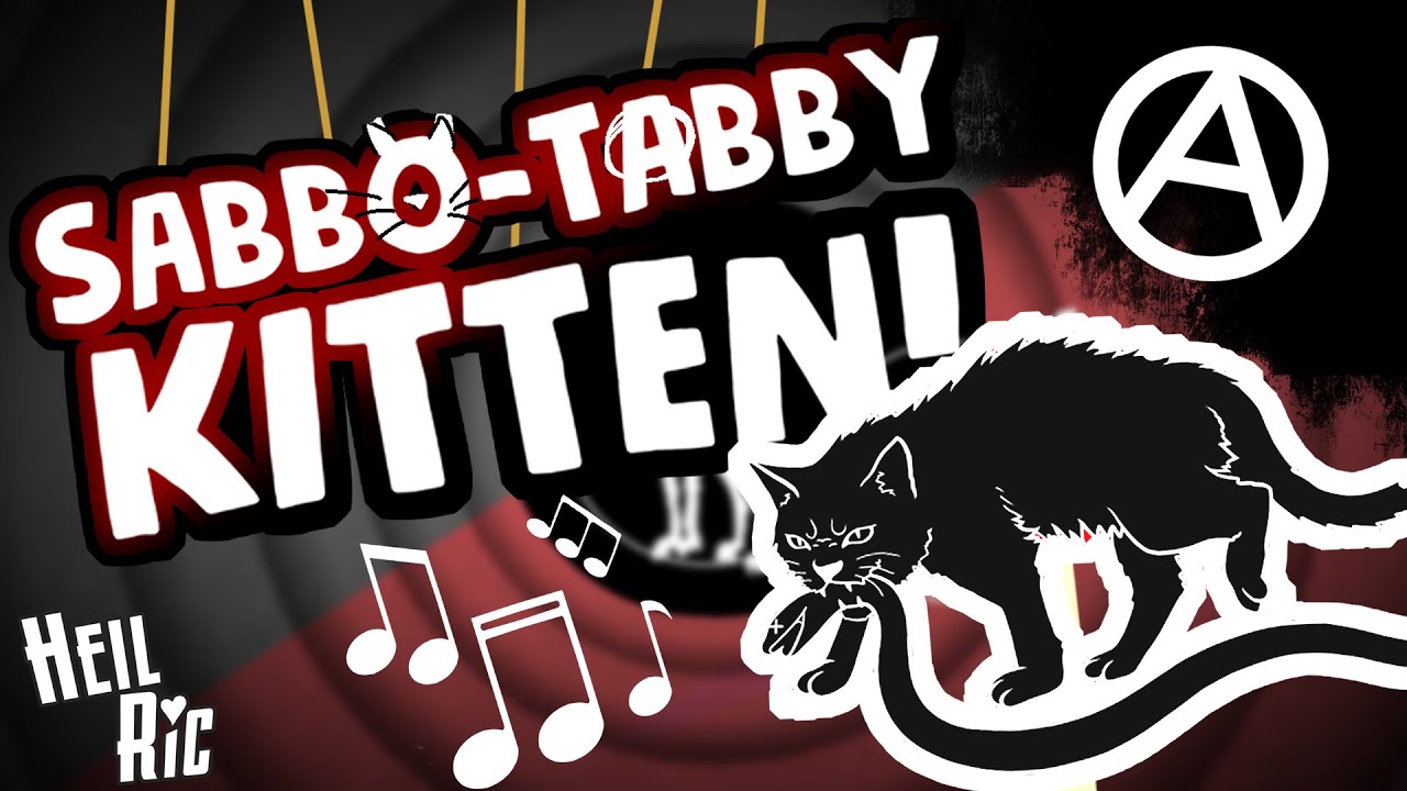Sabbo-Tabby KITTEN (Dixie) ♪ 🏴 | Anarchist Solidarity song - Heil Ric