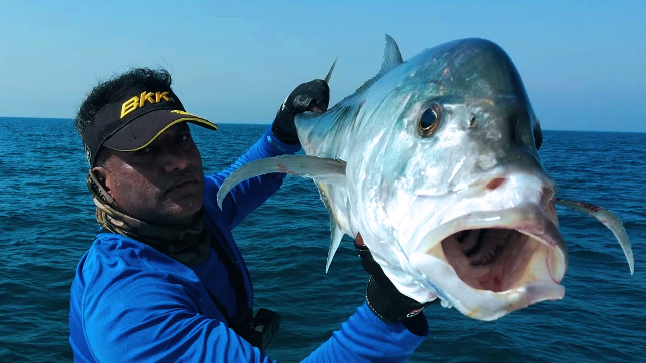 A big Trevally and Rare Fish Caught in Persian Gulf - Fishing Vlog
