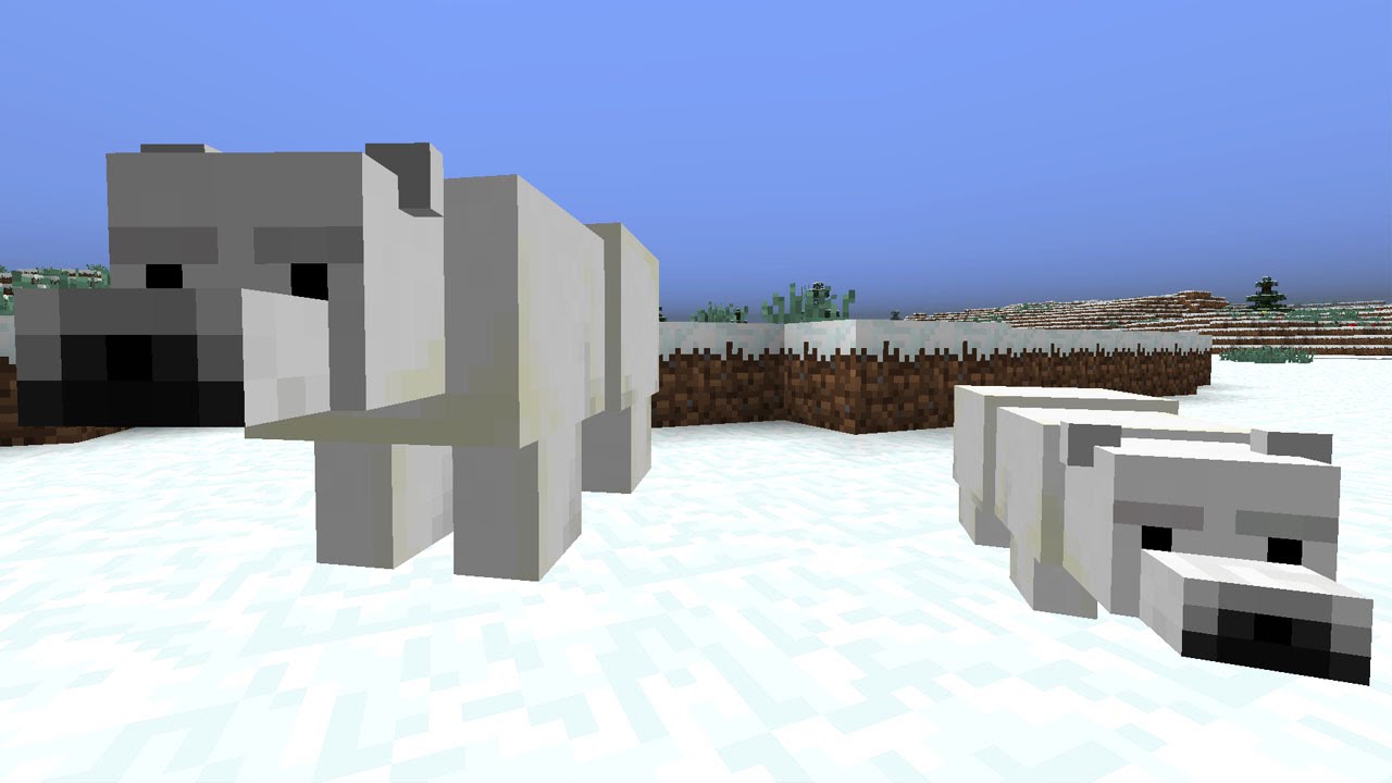 10 Fakten über Minecraft Eisbären / Polarbären