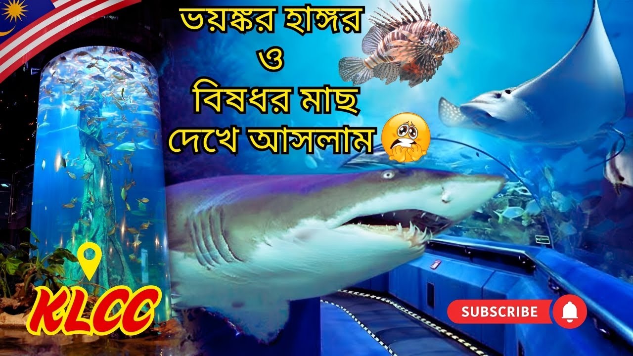 ভয়ঙ্কর হাঙ্গর ও বিষধর মাছ দেখে আসলাম | Aquaria Malaysia 2025 KLCC | Malaysia KLCC Aquaria Vlog 2025
