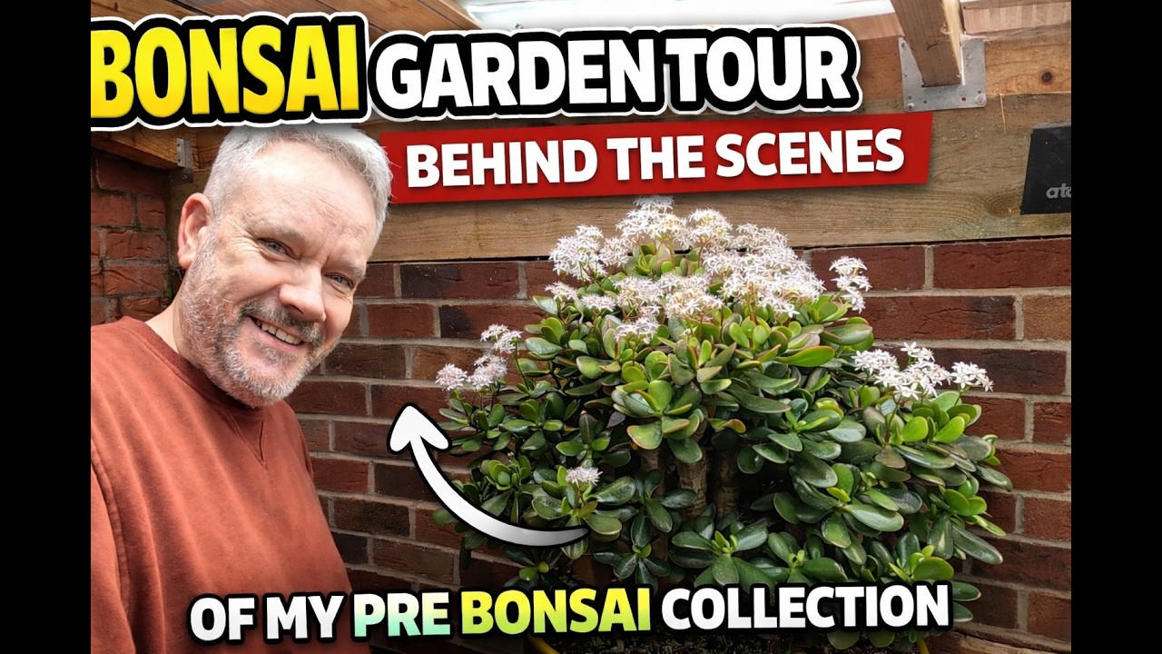 Bonsai Garden Tour | Behind the Scenes of My Pre Bonsai Collection