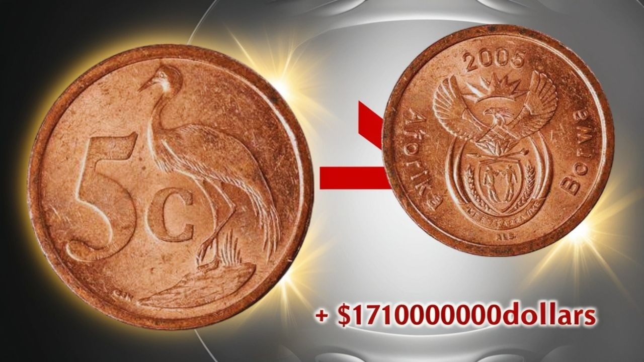 Top 4 South Africa Cents Coins Every Collector Needs
