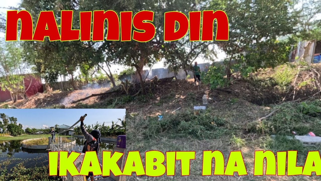 Nagkakabit na sila ng railing | Naglilinis na sila ng paligid 