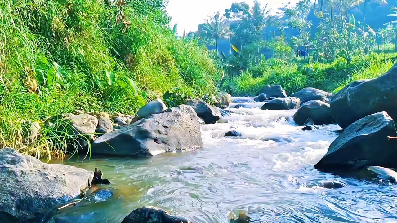 Calm River Ambience for Deep Relaxation