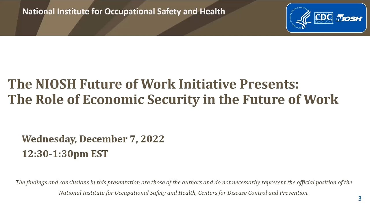 The Role of Economic Security in the Future of Work