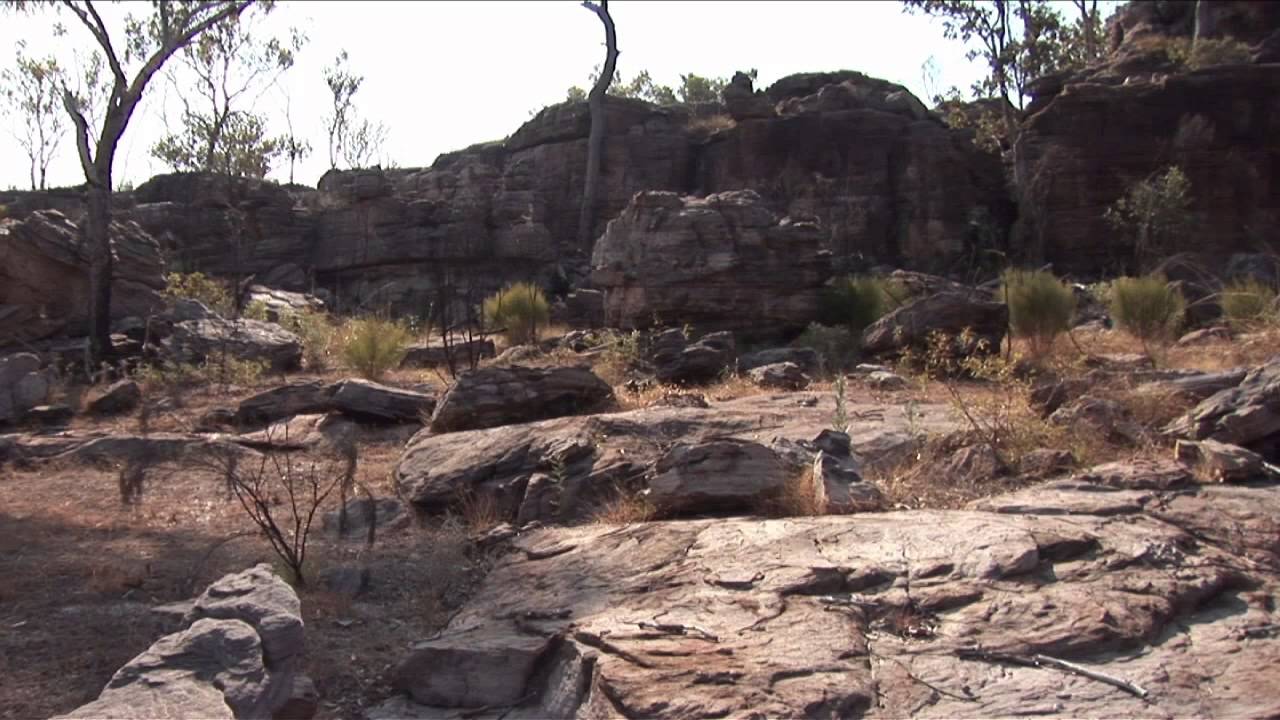 Thylacine & Red Kangaroo