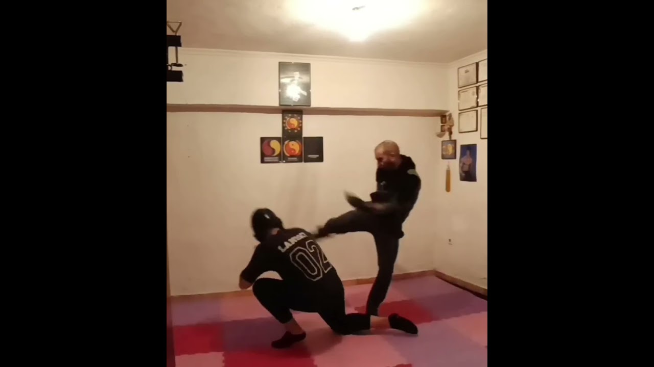 JEET KUNE DO TRAINING KICKING TECHNIQUES #brucelee #bruceleestyle #jeetkunedo #jkd #mma #martialarts