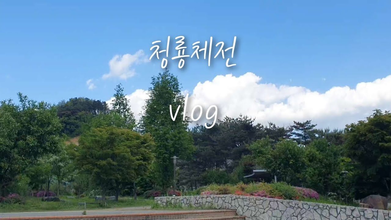 [한의대 vlog] 운동하는 영상은 없는 체전vlog _ 대학생의 체육대회 💥/ 다이소짱구발매트, 말하는 앵무새  🦜