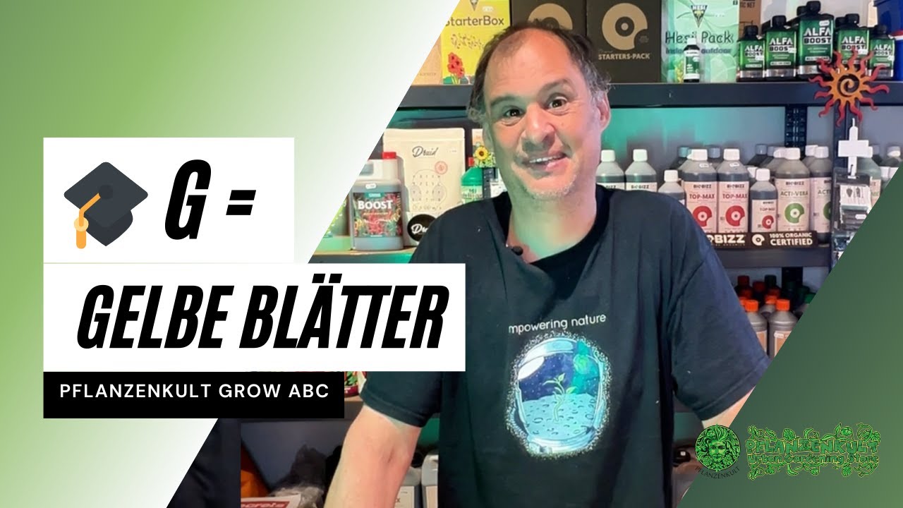G = Gelbe Blätter 😳 🟨 | grow-abc | calmag oder LED?