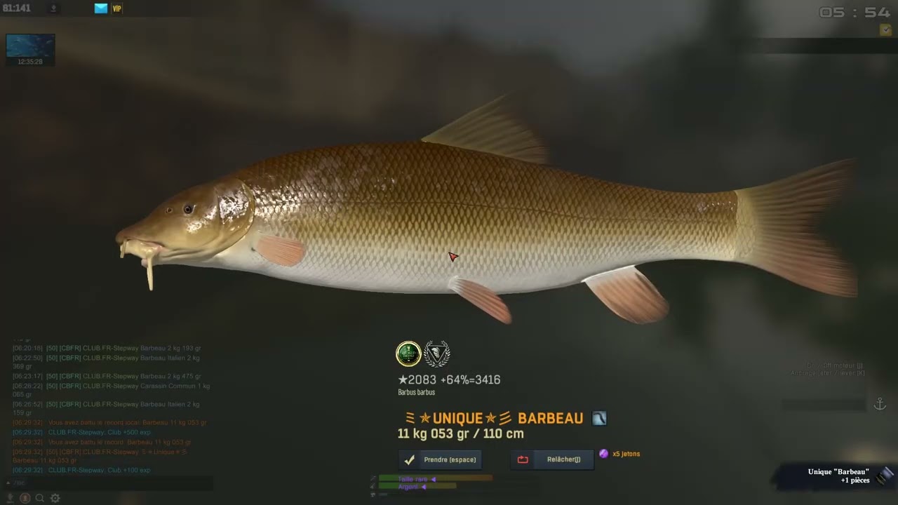 Fisher Online - Italie r. Po - Barbeau (Barbel)