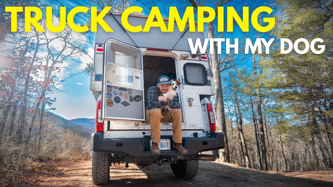 When Your Camping Buddy Has Four Legs