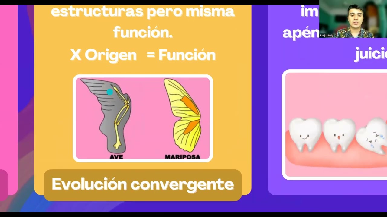Clase Evolución