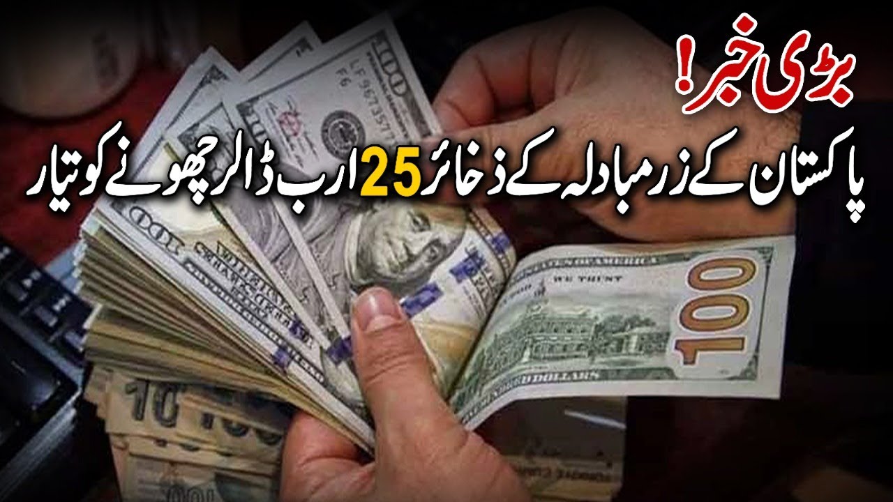 Pakistan&rsquo;s Forex Reserves to Cross $25 Billion | SBP Governor Jameel Ahmed