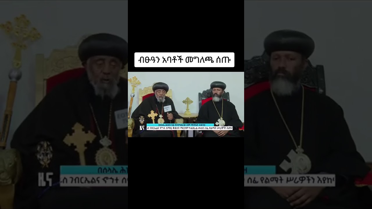Bitsawun abbatochi