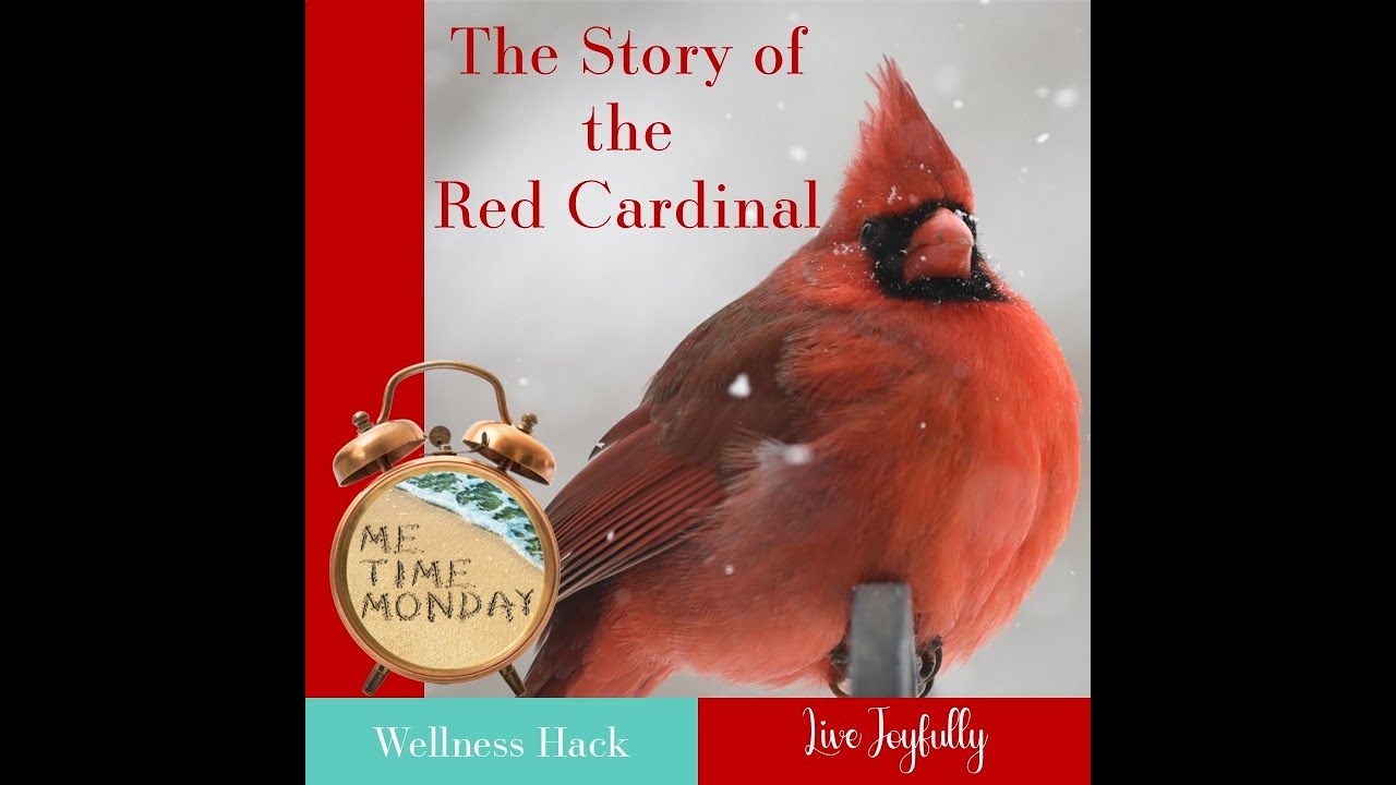 Me Time Monday The Story of the Red Cardinal for Caregivers