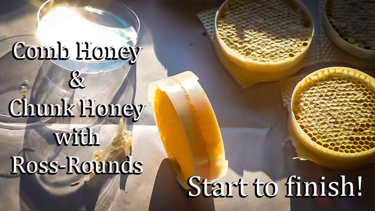 Ross Round Honey In The Comb How to make comb honey with Ross-Rounds and Honey Bees!