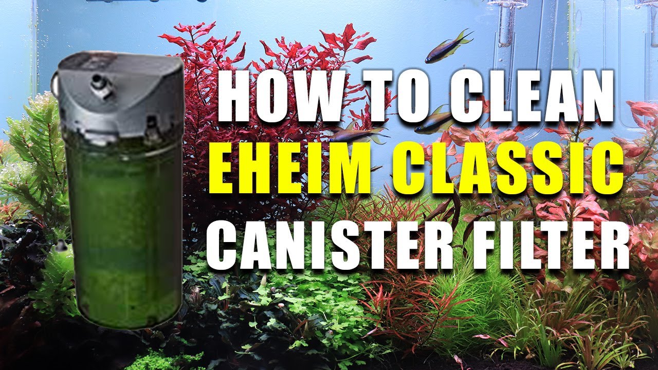 Как очистить фильтр-канистру Eheim Classic
