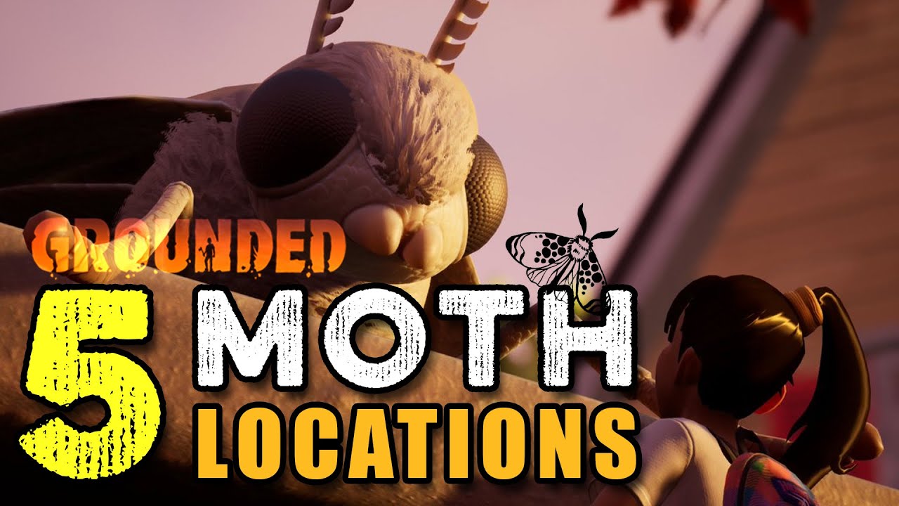 Grounded Tips & Tricks: Moth Locations and Armor!