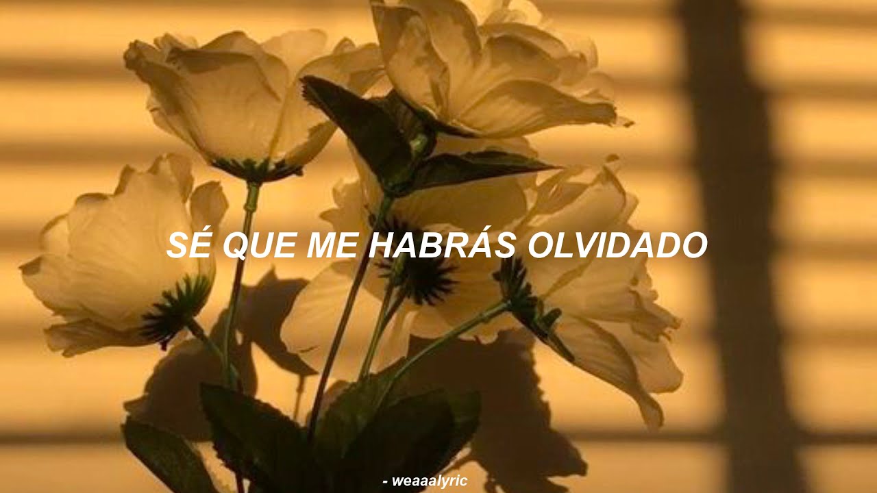 los bunkers ; maribel (letra)