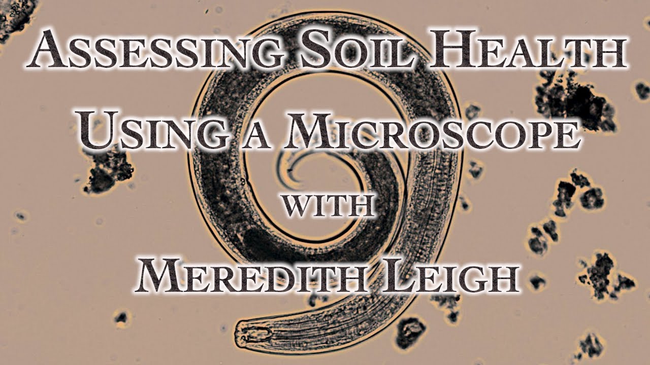 Assessing Soil Health Using a Microscope with Meredith Leigh