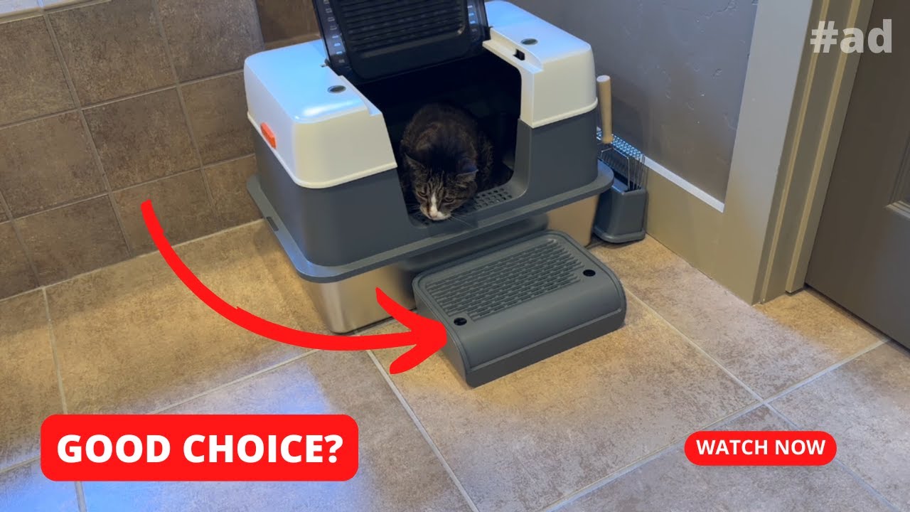 Stainless Steel Cat Litter Box with Lid (Genuine Review)
