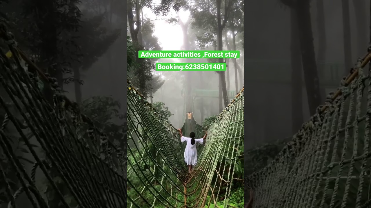 Adventure activities,Forest stay in wayanad booking:6238501401 #wayanad #holidayaccommodation