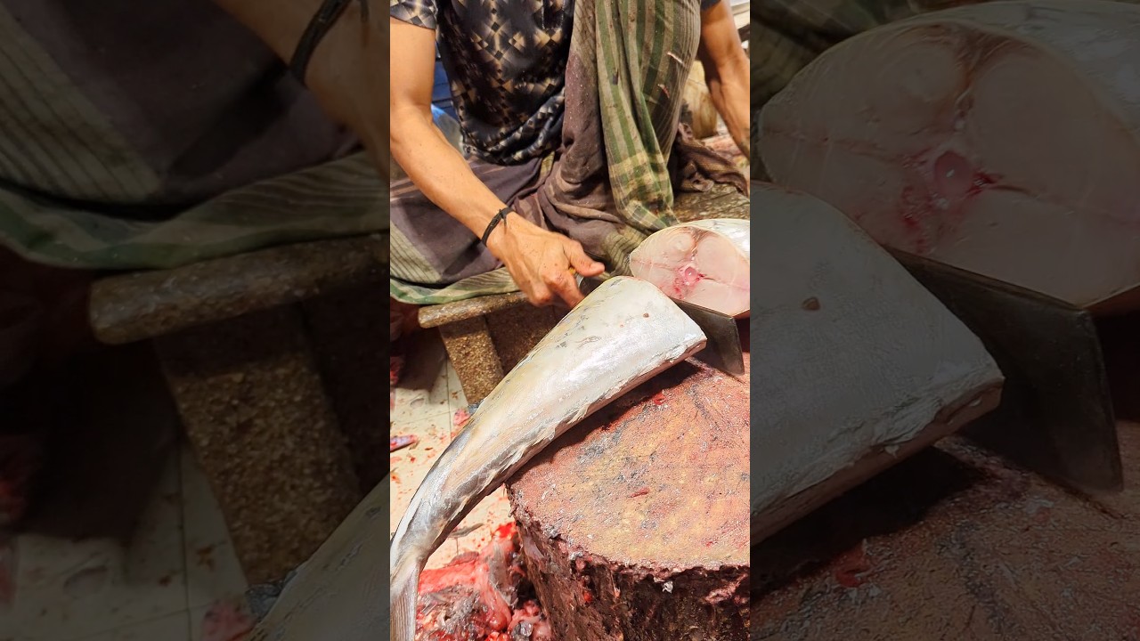 Incredible Giant Seer Fish Cutting Skills In Fish Market | Amazing Fish Cutting Skills
