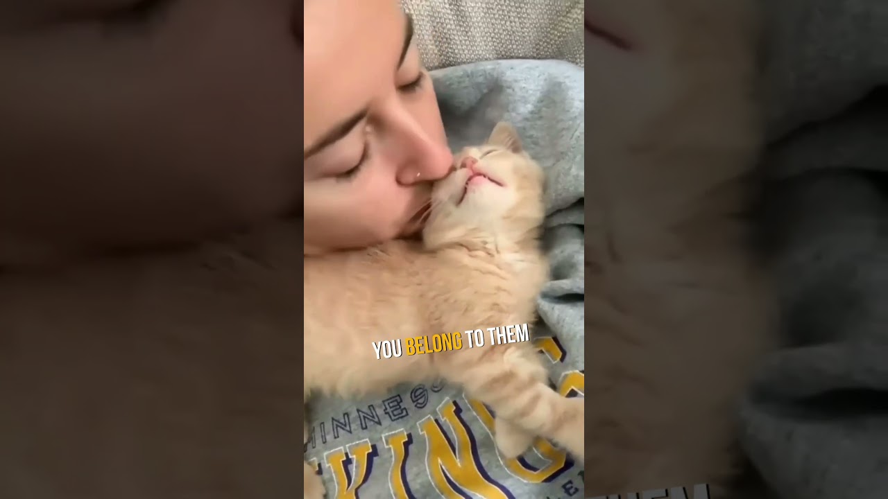 THIS is Why Cats Sit On You