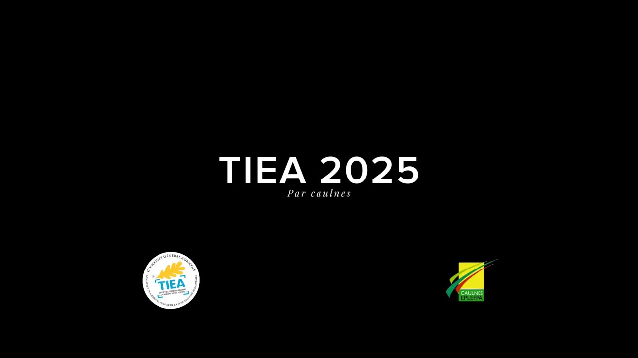 Epreuve de Communication du TIEA 2025