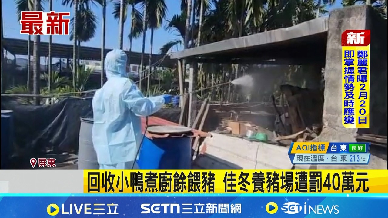 回收小鴨煮廚餘餵豬 佳冬養豬場遭罰40萬元 禁廚餘餵豬! 近4個月6起違規共罰620萬｜三立新聞網 SETN.com