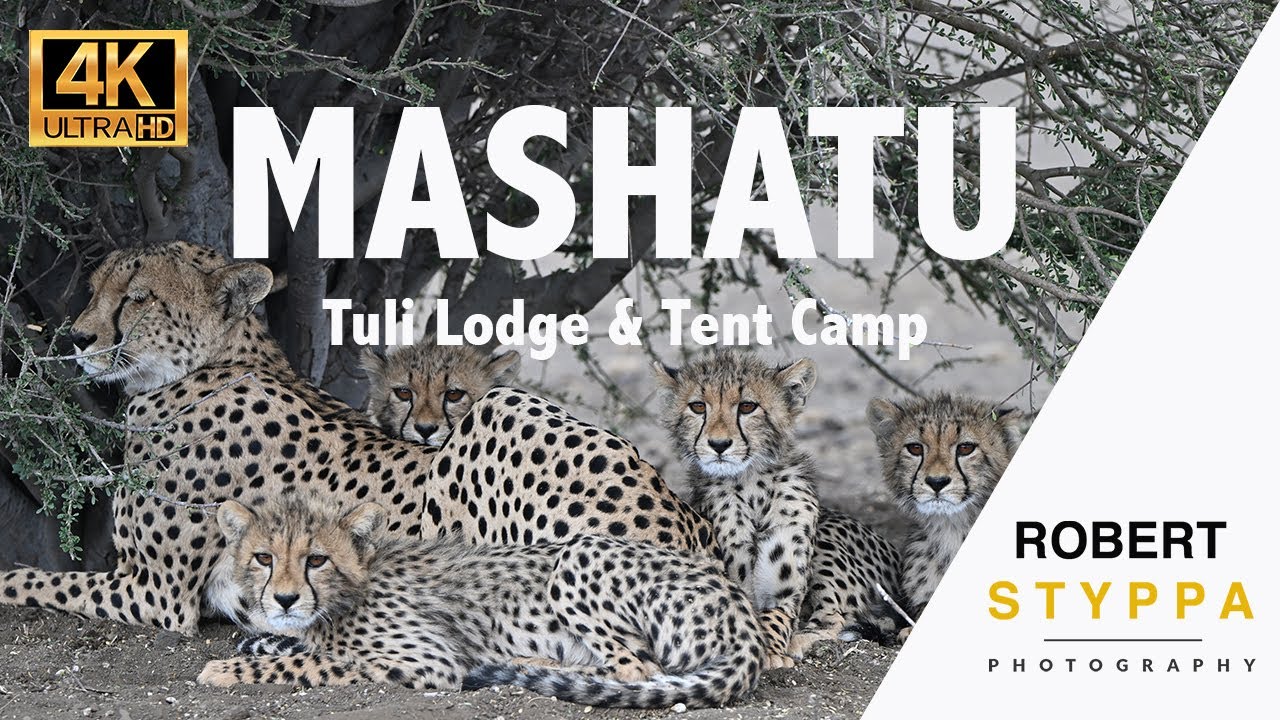 MASHATU GAME RESERVE (AFRICA) : Discover Mashatu in Botswana, the lodges, limpopo hide and safari