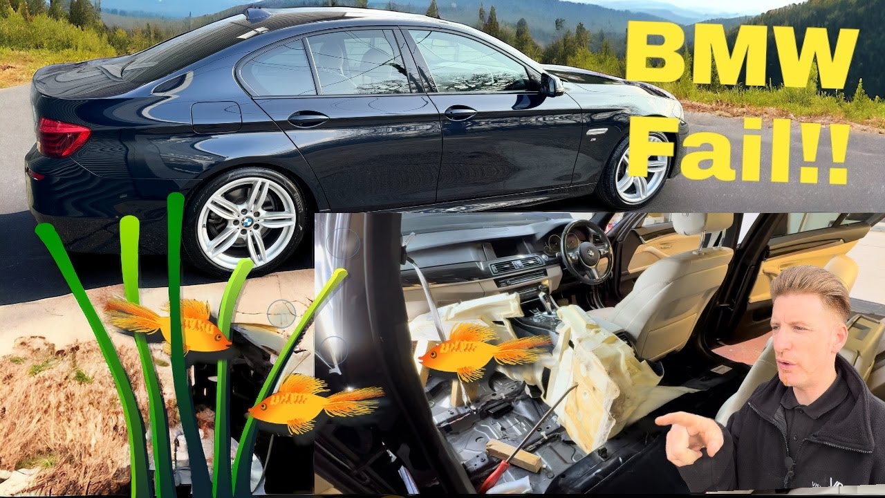 OUR BMW ONLINE AUCTION PURCHASE TURNS OUT TO BE A MOBILE GOLDFISH BOWL!!!