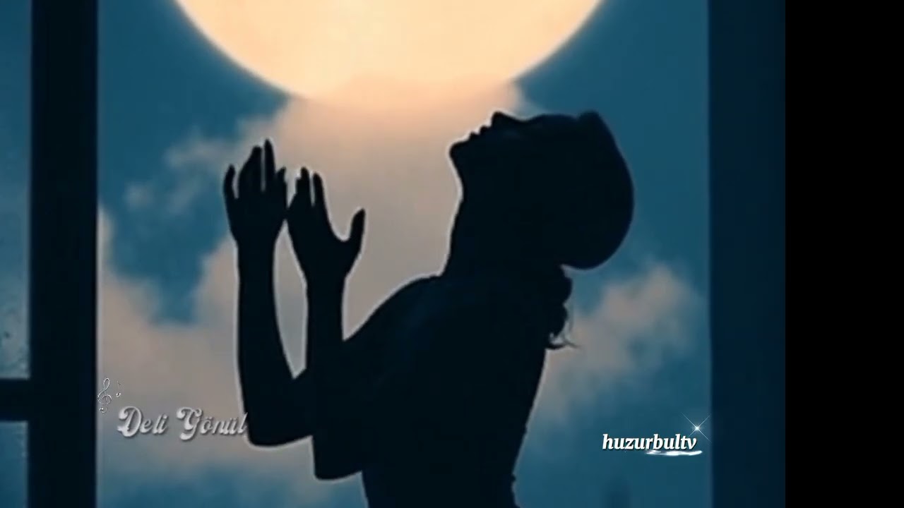 Deli gönül #huzurbultv #music #türkü #love #illahi  yapay zek